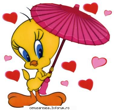 poza tweety