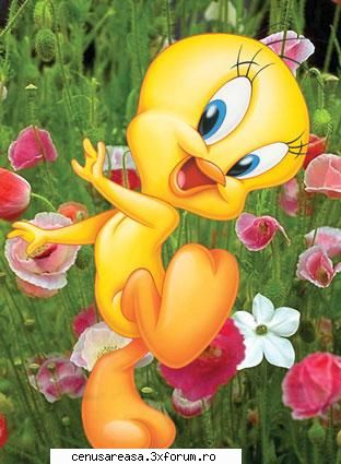 floricele! tweety