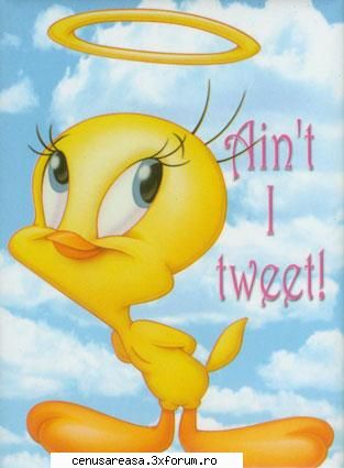 sfant tweety
