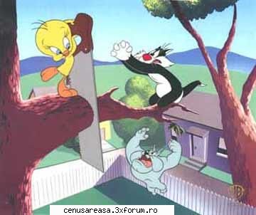 tweety